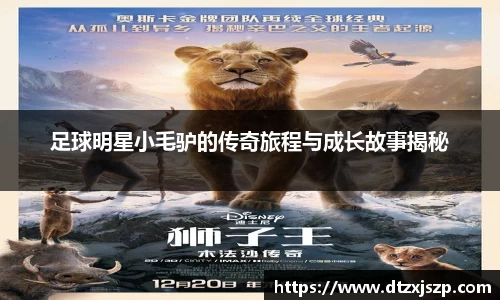 足球明星小毛驴的传奇旅程与成长故事揭秘